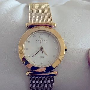 Skagen brand woman’s watch.